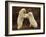 Two Polar Bears Play Fighting, Churchill, Hudson Bay, Canada-Inaki Relanzon-Framed Photographic Print