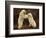 Two Polar Bears Play Fighting, Churchill, Hudson Bay, Canada-Inaki Relanzon-Framed Photographic Print