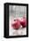 Two Pomegranates, Close-Up-Jana Ihle-Framed Premier Image Canvas