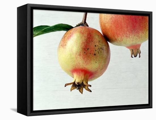 Two Pomegranates-null-Framed Premier Image Canvas