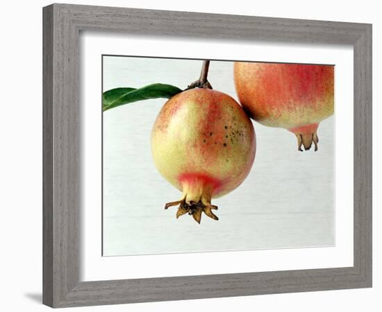 Two Pomegranates-null-Framed Photographic Print