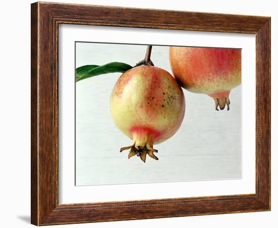 Two Pomegranates-null-Framed Photographic Print