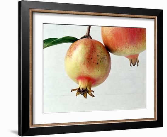 Two Pomegranates-null-Framed Photographic Print