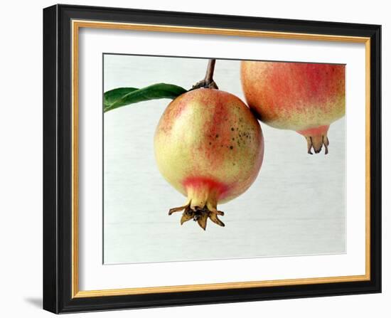 Two Pomegranates-null-Framed Photographic Print