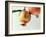 Two Pomegranates-null-Framed Photographic Print