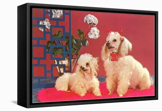 Two Poodles-null-Framed Stretched Canvas