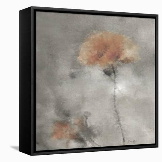 Two Poppies 2-Denise Brown-Framed Stretched Canvas