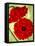 Two Poppies-Holly Carr-Framed Premier Image Canvas
