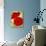 Two Poppies-Holly Carr-Giclee Print displayed on a wall