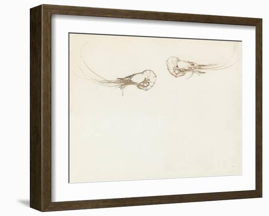 Two Prawns-John Singer Sargent-Framed Giclee Print