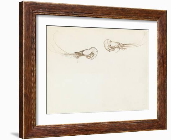 Two Prawns-John Singer Sargent-Framed Giclee Print