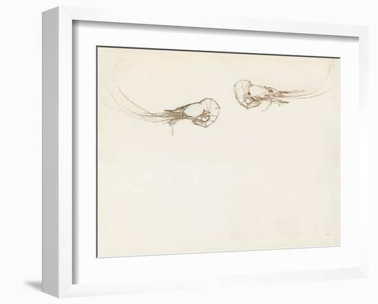 Two Prawns-John Singer Sargent-Framed Giclee Print