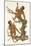 Two Primates on a Tree, 1823-Edward Donovan-Mounted Giclee Print