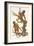 Two Primates on a Tree, 1823-Edward Donovan-Framed Giclee Print