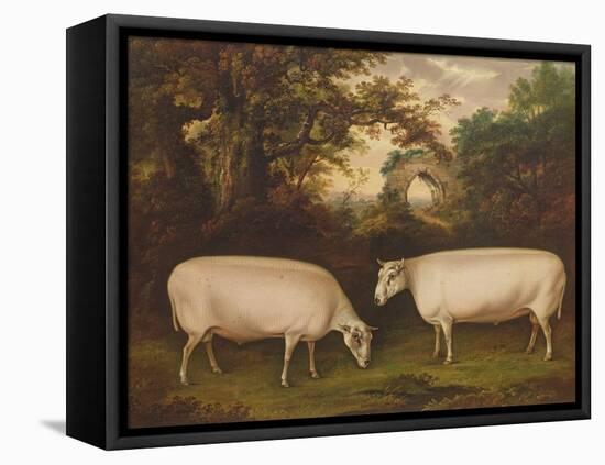 Two Prize Border Leicester Rams in a Landscape, 1800-Timothy Easton-Framed Premier Image Canvas