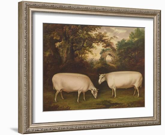 Two Prize Border Leicester Rams in a Landscape, 1800-Timothy Easton-Framed Giclee Print