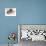 Two (Przewalski), 2013-Mark Adlington-Giclee Print displayed on a wall