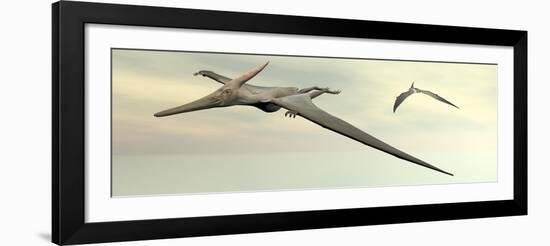 Two Pteranodon Dinosaurs Flying in Cloudy Sky-null-Framed Art Print