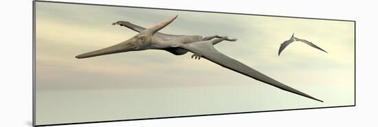 Two Pteranodon Dinosaurs Flying in Cloudy Sky-null-Mounted Art Print