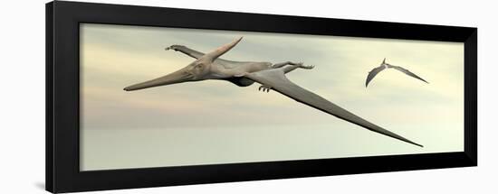 Two Pteranodon Dinosaurs Flying in Cloudy Sky-null-Framed Art Print