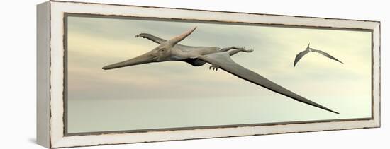 Two Pteranodon Dinosaurs Flying in Cloudy Sky-null-Framed Stretched Canvas