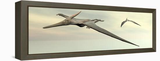 Two Pteranodon Dinosaurs Flying in Cloudy Sky-null-Framed Stretched Canvas