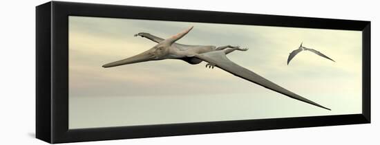 Two Pteranodon Dinosaurs Flying in Cloudy Sky-null-Framed Stretched Canvas