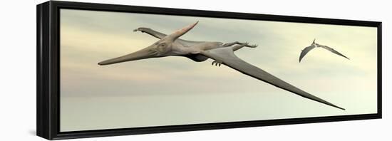 Two Pteranodon Dinosaurs Flying in Cloudy Sky-null-Framed Stretched Canvas