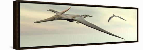 Two Pteranodon Dinosaurs Flying in Cloudy Sky-null-Framed Stretched Canvas