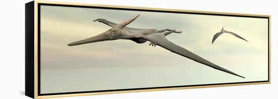 Two Pteranodon Dinosaurs Flying in Cloudy Sky-null-Framed Stretched Canvas