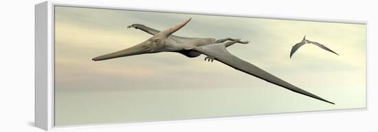 Two Pteranodon Dinosaurs Flying in Cloudy Sky-null-Framed Stretched Canvas