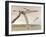 Two Pteranodons Flying over Small Islands-null-Framed Art Print