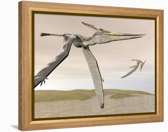 Two Pteranodons Flying over Small Islands-null-Framed Stretched Canvas