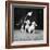 Two Pups Looking at a Flower in a Vase, 1962-Howard Walker-Framed Photographic Print