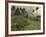 Two Pyramids Sit Majestically Among the Surrounding Jungle-Stocktrek Images-Framed Photographic Print