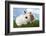 Two Rabbits Bunnies on Green Grass-Richard Peterson-Framed Photographic Print