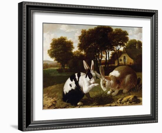 Two Rabbits in a Landscape, C.1650-null-Framed Giclee Print