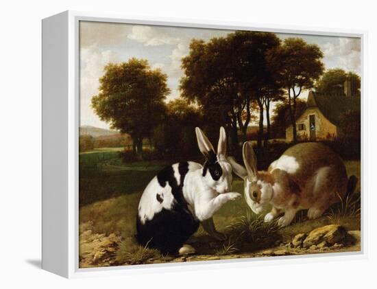 Two Rabbits in a Landscape, C.1650-null-Framed Premier Image Canvas