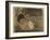 Two Rabbits, One Eating Carrots-Joseph Crawhall-Framed Giclee Print