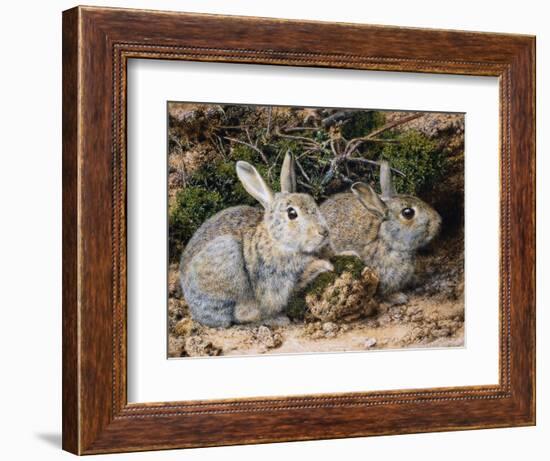 Two Rabbits-John Sherrin-Framed Giclee Print