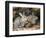 Two Rabbits-John Sherrin-Framed Giclee Print