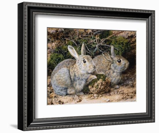 Two Rabbits-John Sherrin-Framed Giclee Print