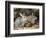 Two Rabbits-John Sherrin-Framed Giclee Print