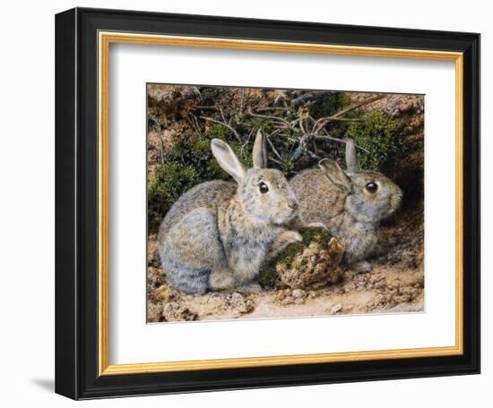 Two Rabbits-John Sherrin-Framed Giclee Print