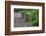 Two Raccoons Walking-Sheila Haddad-Framed Photographic Print