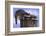 Two Raccoons-DLILLC-Framed Photographic Print