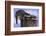 Two Raccoons-DLILLC-Framed Photographic Print