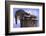 Two Raccoons-DLILLC-Framed Photographic Print