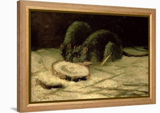 Two Rats, C.1884-Vincent van Gogh-Framed Premier Image Canvas