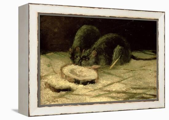 Two Rats, C.1884-Vincent van Gogh-Framed Premier Image Canvas